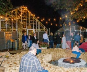 The Fireside lounge at the Harvest Bash