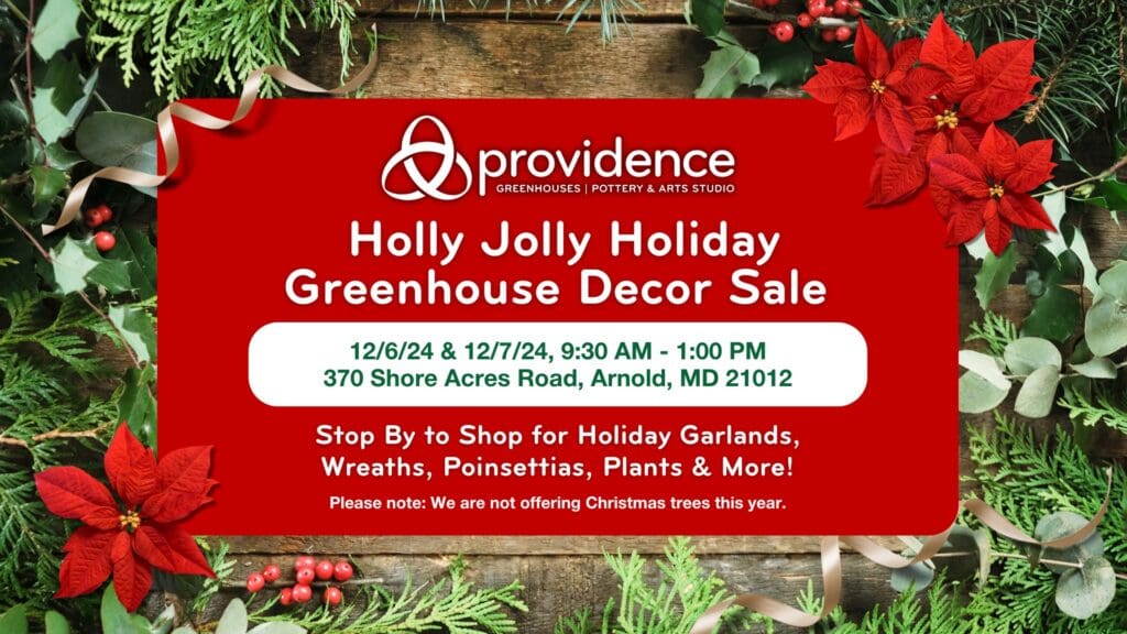 Greenhouse Holiday Sale Cover – 2